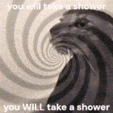 soggy cat shower hypnotize