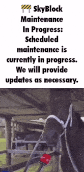 a horse with a microphone in front of it that says skyblock maintenance in progress