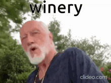 Winery Wrong GIF - Winery Wrong Shut Up GIFs