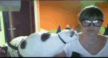 Can'T You See I Need Petting? GIF - Cat Glasses Pet GIFs