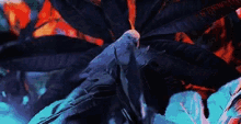 a painting of a bird sitting on a leaf