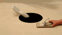 Hole Mouse Trap GIF - Hole Mouse Trap Oops GIFs