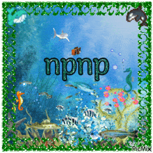 a picture of the ocean with the name npnp