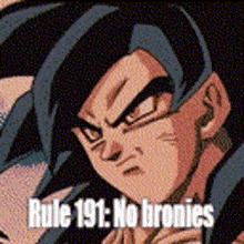 a close up of a cartoon character with the words `` rule 191 : no bronies '' .