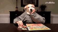Dog The Pet Collective GIF - Dog The Pet Collective Puzzle GIFs