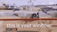 How This Is Your Window GIF - How This Is Your Window GIFs