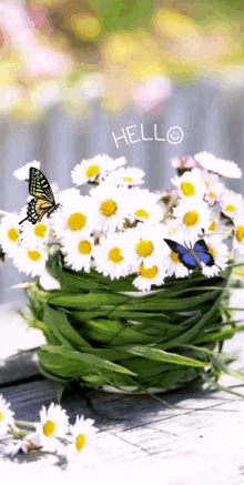 Good Morning Hello GIF - Good Morning Hello Butterfly GIFs