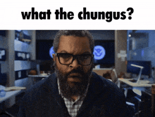a man with glasses and a beard is asking what the chungus is