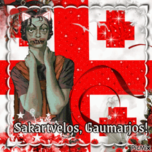 a picture of a man with a cat ear and the words sakartvelos gaumarjos on the bottom