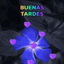 Buenas Tardes Good Afternoon GIF - Buenas Tardes Good Afternoon Purple Hearts GIFs