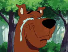 scooby doo is crying with a tear coming out of his eyes