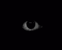 Hello Eyeball GIF - Hello Eyeball Creepy GIFs