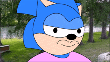 Sonic The Hedgehog Tamers12345 GIF - Sonic The Hedgehog Tamers12345 Sonic GIFs