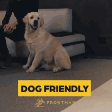 Imfrontman Dogfriendly GIF - Imfrontman Frontman Dogfriendly GIFs