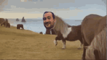 Santi Pony Walking GIF