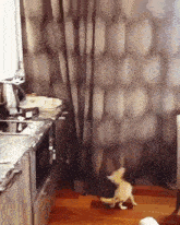 a small dog is running in a kitchen near a microwave and stove