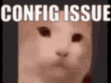 Hvh Config Issue GIF - Hvh Config Issue Kittenpopo GIFs