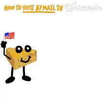 mail vote
