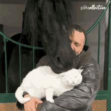 Chill The Pet Collective GIF - Chill The Pet Collective Relax GIFs