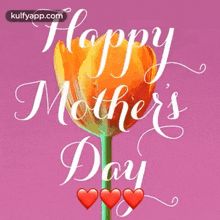 Happy Mothers Day Wishes - Tulip Moms Day GIF - Happy Mothers Day Wishes - Tulip Mothers Day Moms Day GIFs