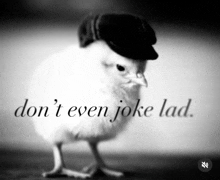 a black and white photo of a chicken wearing a hat with the words " don 't even joke lad " written below it