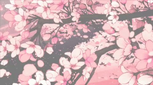 Pink Cherry Blossom GIF - Pink Cherry Blossom Flowers - Discover