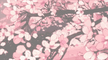 Cherry Blossom GIF - Cherry Blossom GIFs