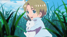 a boy is holding a white rabbit in a field with a gif of hetalia