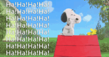 Snoopy Laughing GIF - Snoopy Laughing Hahaha GIFs