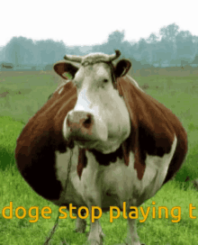 Doge Dogeiscutedog GIF - Doge Dogeiscutedog Doge Stop Playing Tf2 GIFs
