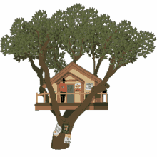 treehouse windy