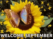 Welcome September GIF - Welcome September GIFs