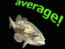 a computer generated image of a fish and a green leaf