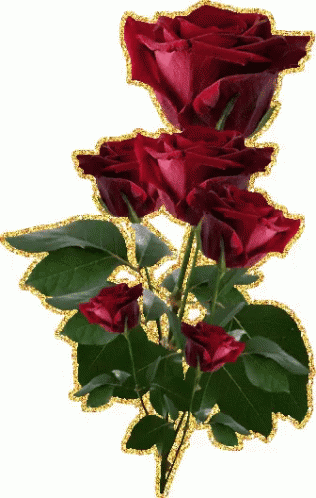 Roses GIF - Roses - Discover & Share GIFs