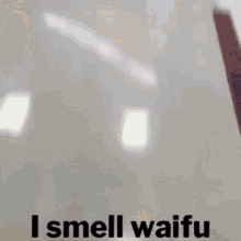 I Smell Waifu GIF - I Smell Waifu GIFs