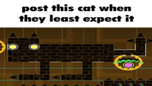 a picture of a cat with the words post this cat when they least expect it below it