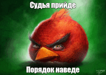 a painting of an angry bird with russian text