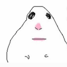 a drawing of a hamster 's face with a pink nose and eyes .