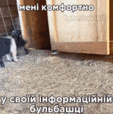 a picture of a pig with a caption in a foreign language that says t.me/svinkid