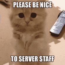 Please Be Nice GIF - Please Be Nice Server Staff GIFs