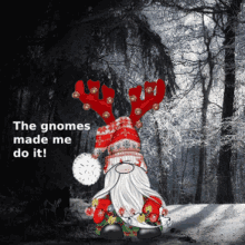 Gnomes Memes Cute Gnomes GIF