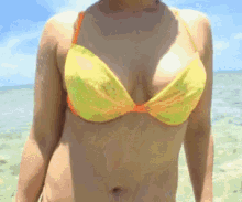 Yes Swimsuit GIF - Yes Swimsuit Beach GIFs