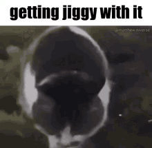 Getting Jiggy With It Cat GIF