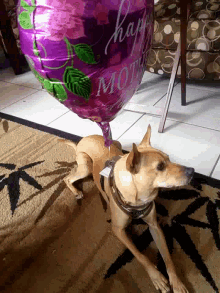 Puppy Mothers GIF - Puppy Mothers Day GIFs