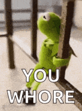 kermit the frog is sitting on a railing holding a railing and says `` you whore '' .