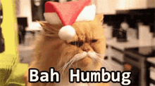 Bah Humbug Scrooge GIF - Bah Humbug Scrooge Cat GIFs