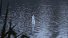 Chainsaw Water GIF - Chainsaw Water Float GIFs