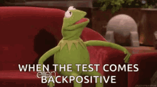 Pregnant Baby Moma GIF - Pregnant Baby Moma When The Test Comes Back Positive GIFs