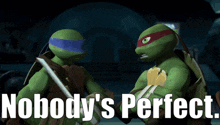two teenage mutant ninja turtles standing next to each other with the words " nobody 's perfect "