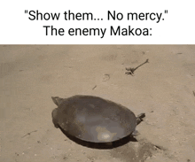 Paladins Makoa GIF - Paladins Makoa Enemy GIFs